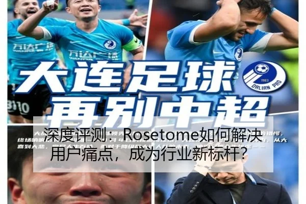 深度评测：Rosetome如何解决用户痛点，成为行业新标杆？