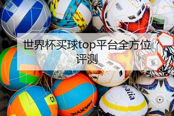 世界杯买球top平台全方位评测