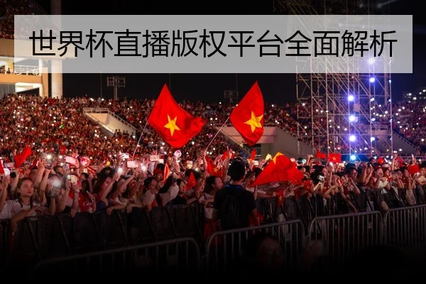 世界杯直播版权平台全面解析