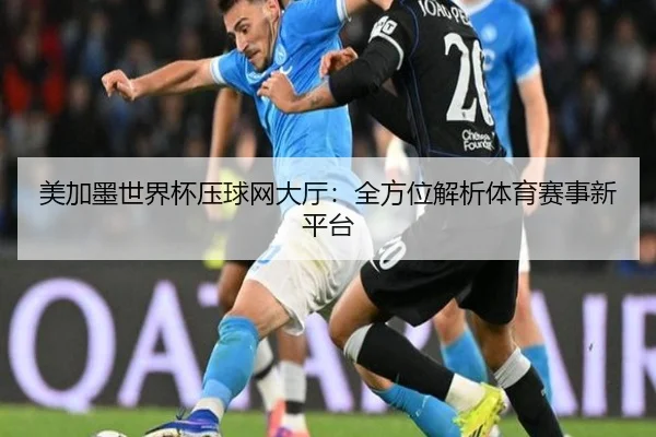 美加墨世界杯压球网大厅：全方位解析体育赛事新平台
