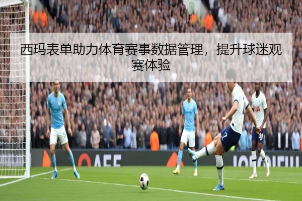 西玛表单助力体育赛事数据管理，提升球迷观赛体验